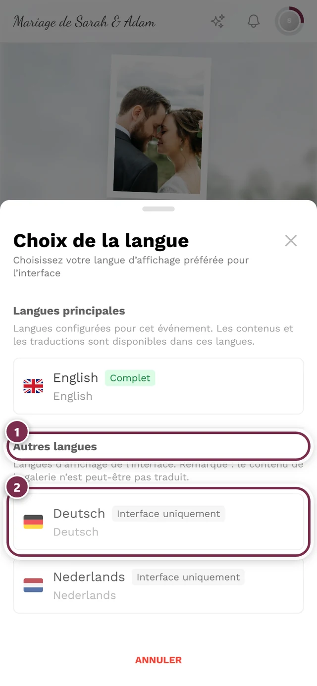 Boîte de dialogue de choix de la langue, le groupe Autres langues et une entrée avec le badge Interface uniquement sont mis en évidence