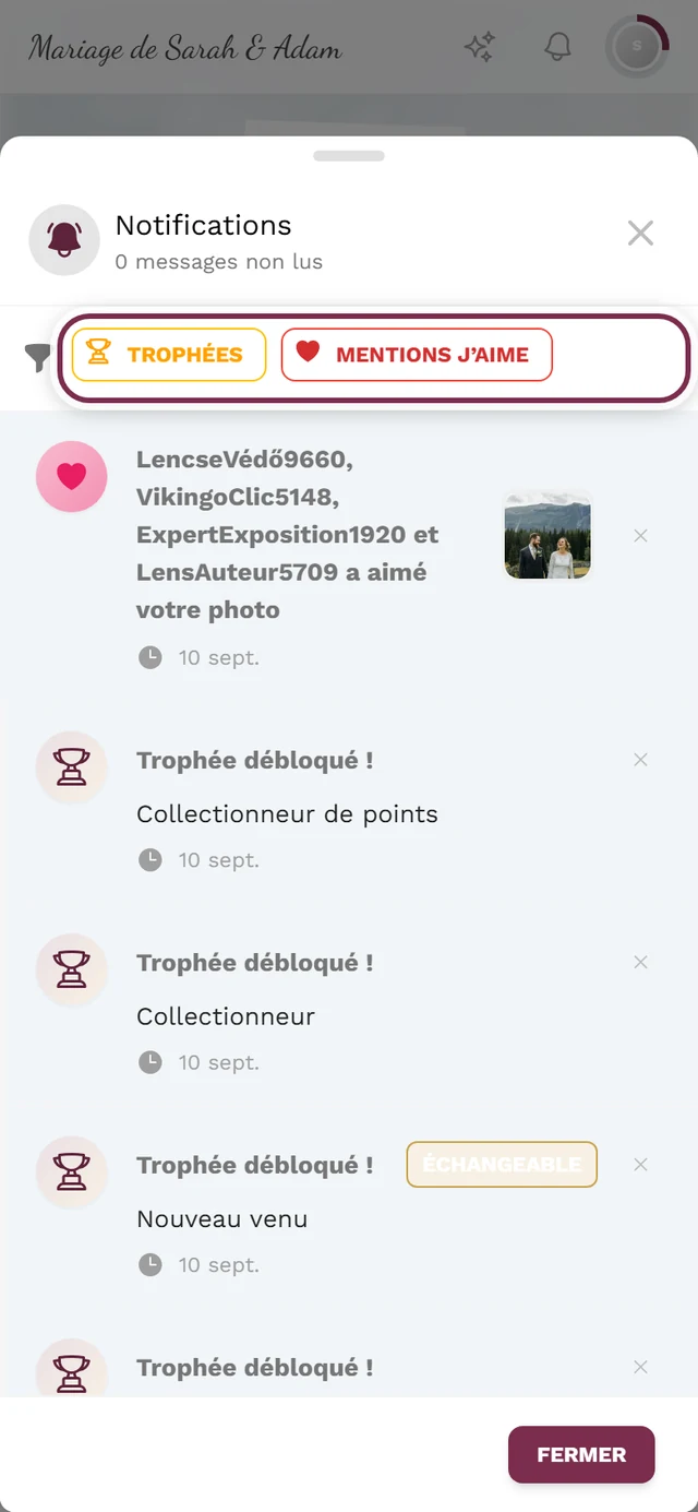 Menu de notifications ouvert, la barre de filtres avec les puces de type est mise en évidence