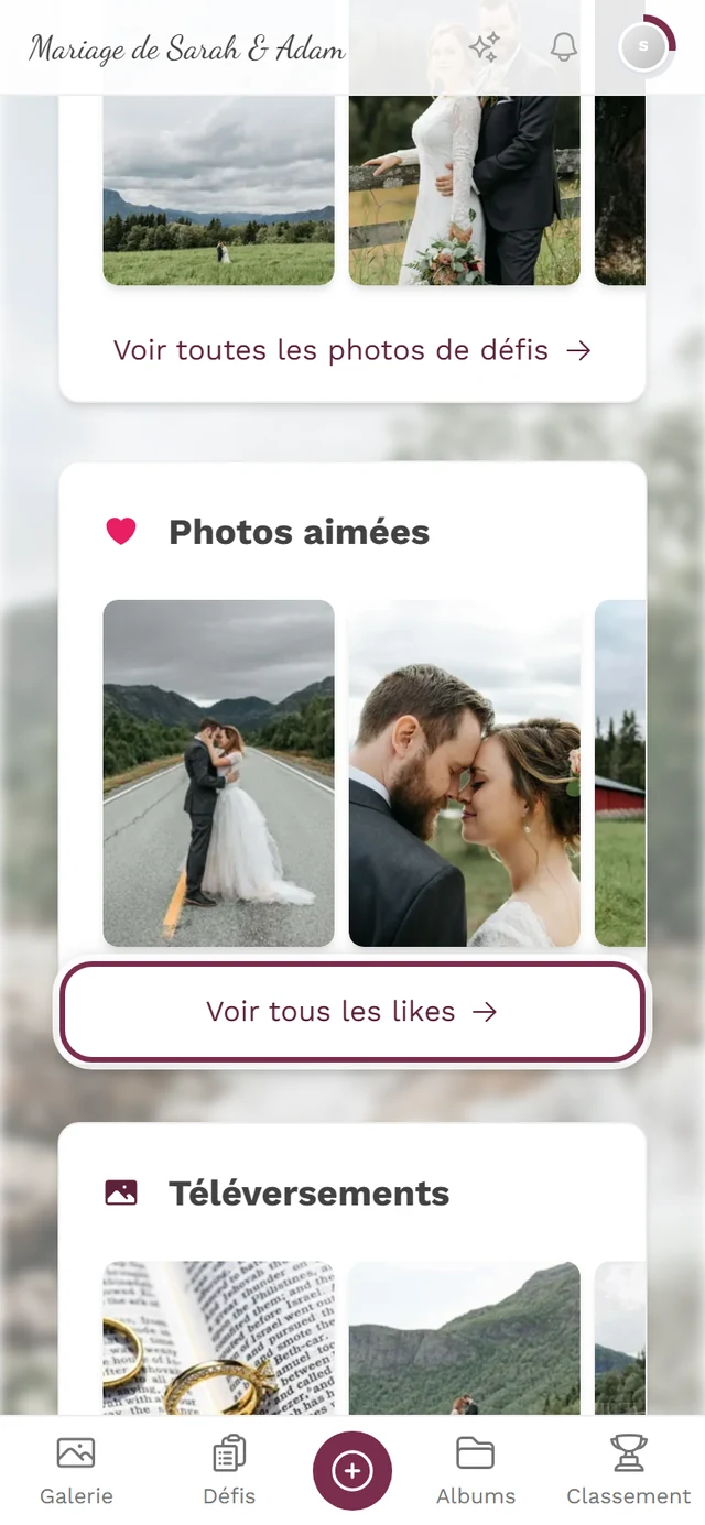 Page de profil, section Photos aimées avec le lien Voir tous les likes mis en évidence