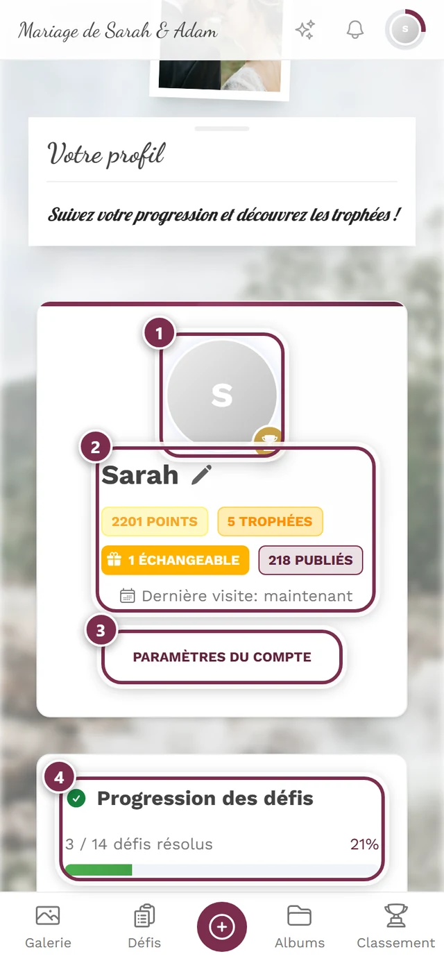 Page de profil avec nom, statistiques et trophées