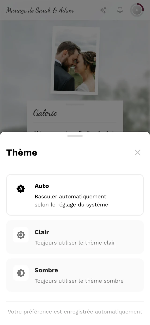 Boîte de dialogue Thème avec les trois options Auto, Clair et Sombre