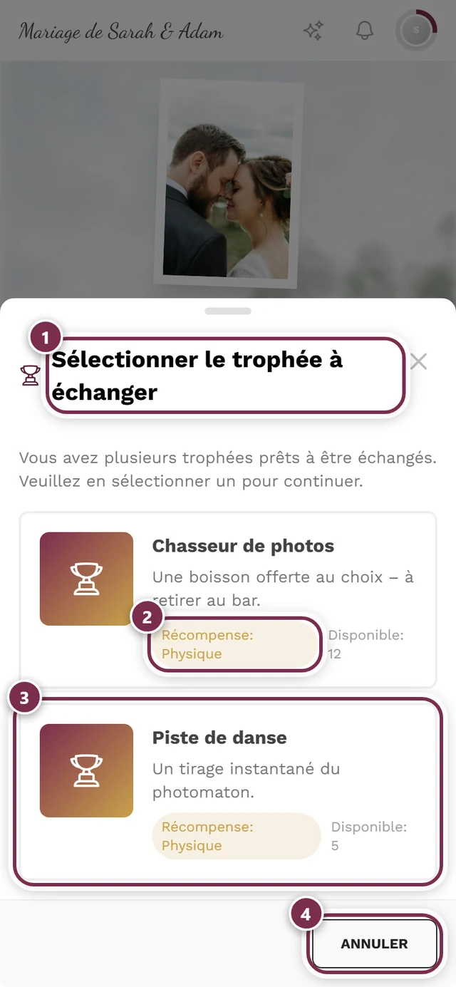 Boîte de dialogue de sélection avec deux cartes de récompense et quatre repères