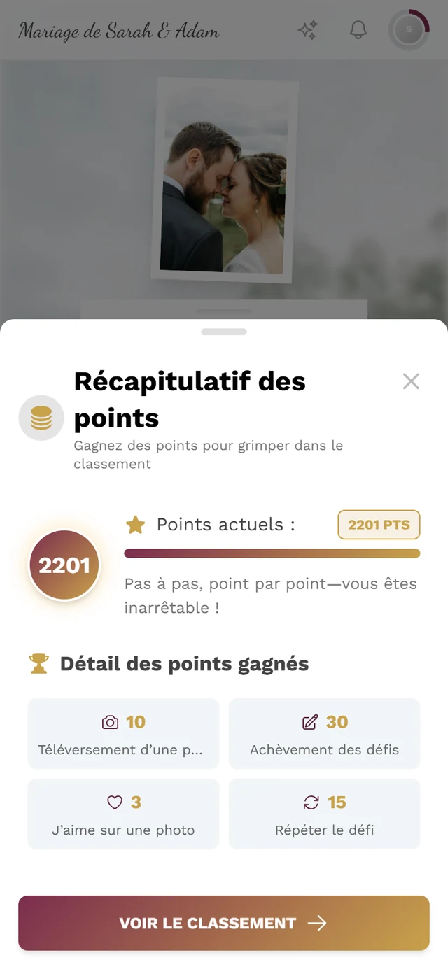 Boîte de dialogue Résumé des points avec le cercle de points et les quatre vignettes de répartition