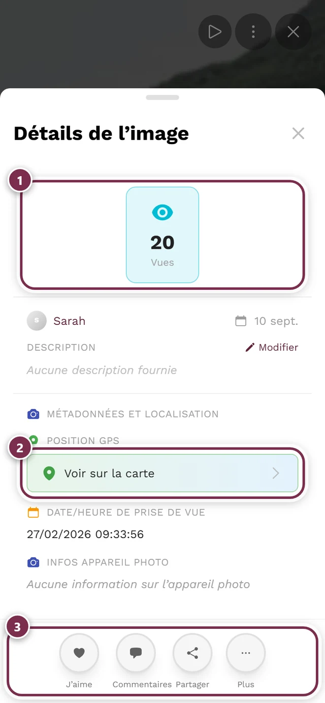 Fenêtre des détails de l'image avec statistiques, personne ayant téléversé, date et informations de prise de vue