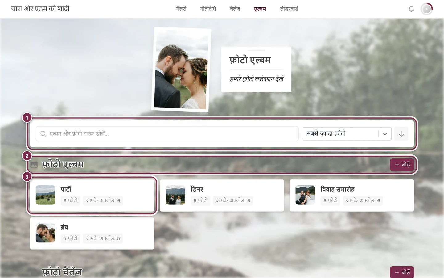 एल्बम का ओवरव्यू