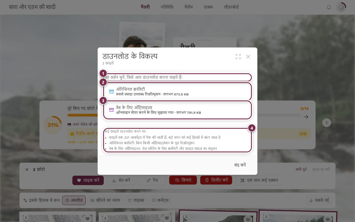 दो फ़ोटो चुने होने पर डाउनलोड के विकल्प डायलॉग, जिसमें दोनों बटन के नीचे ZIP का नोट है