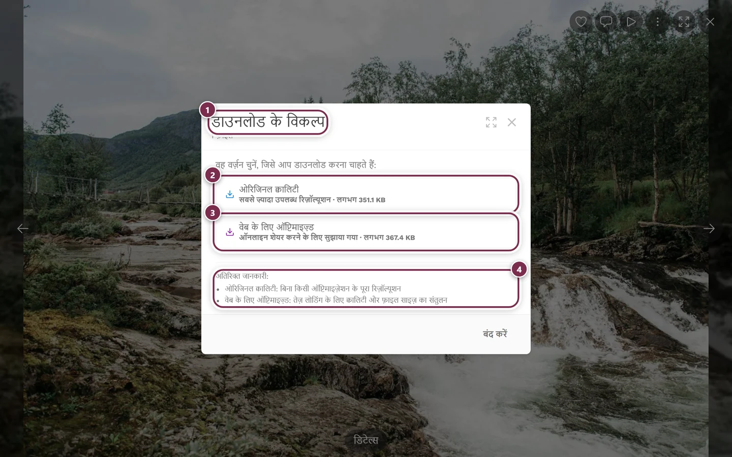 डायलॉग डाउनलोड विकल्प, जिसमें ओरिजिनल क्वालिटी और वेब के लिए ऑप्टिमाइज़्ड चिह्नित हैं