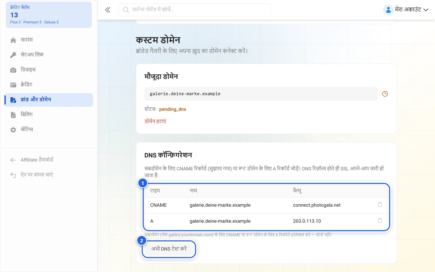 गैलरी डोमेन का DNS कॉन्फ़िगरेशन, जिसमें रिकॉर्ड की तालिका और अभी DNS टेस्ट करें बटन पर निशान है