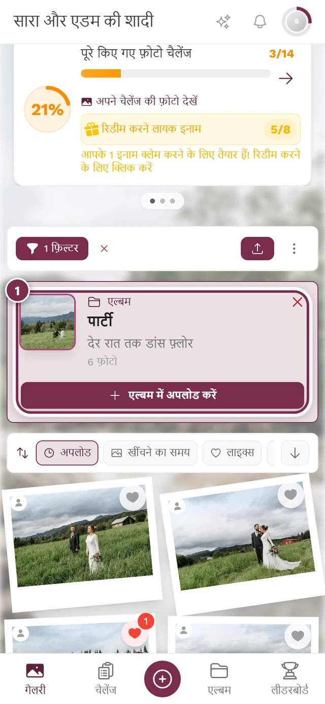 लागू फ़िल्टर वाले बॉक्स और उसके ऊपर एल्बम चिप के साथ गैलरी ग्रिड