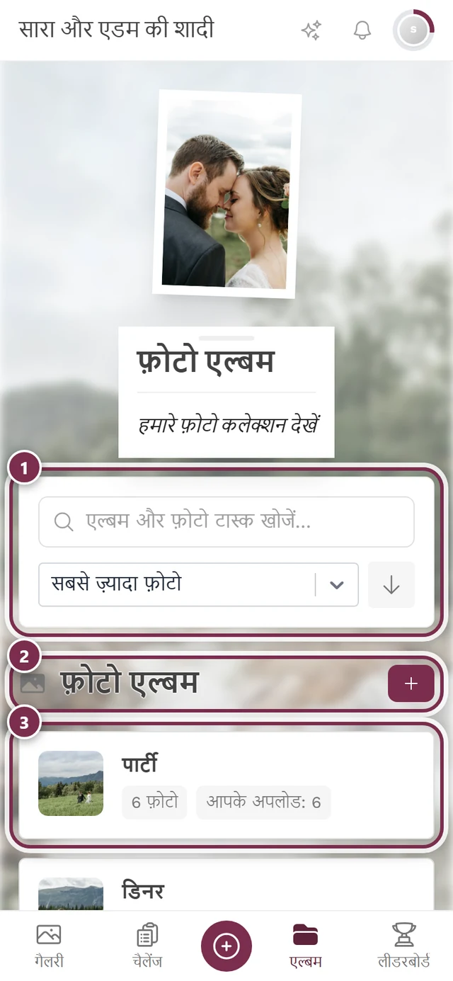 एल्बम का ओवरव्यू
