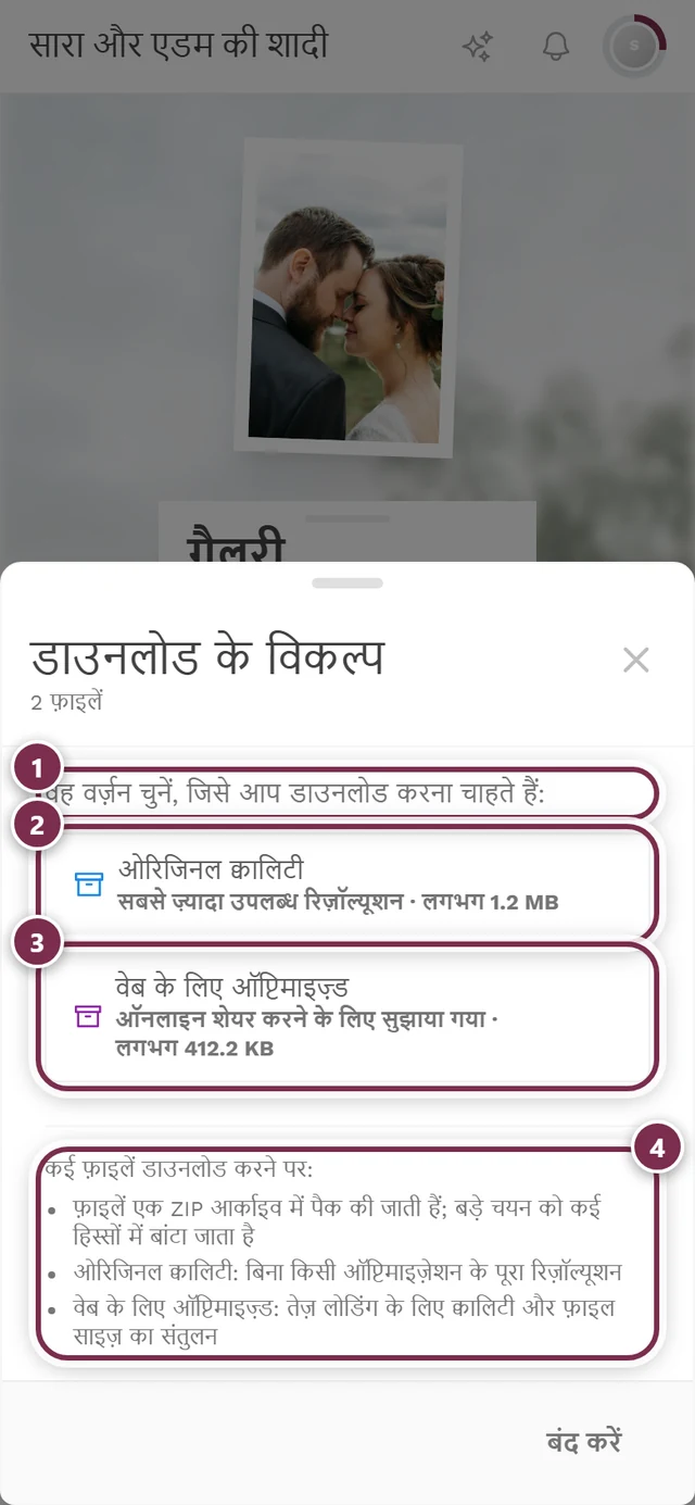 दो फ़ोटो चुने होने पर डाउनलोड के विकल्प डायलॉग, जिसमें दोनों बटन के नीचे ZIP का नोट है