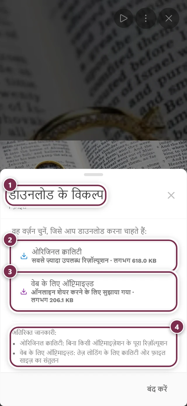 डायलॉग डाउनलोड विकल्प, जिसमें ओरिजिनल क्वालिटी और वेब के लिए ऑप्टिमाइज़्ड चिह्नित हैं