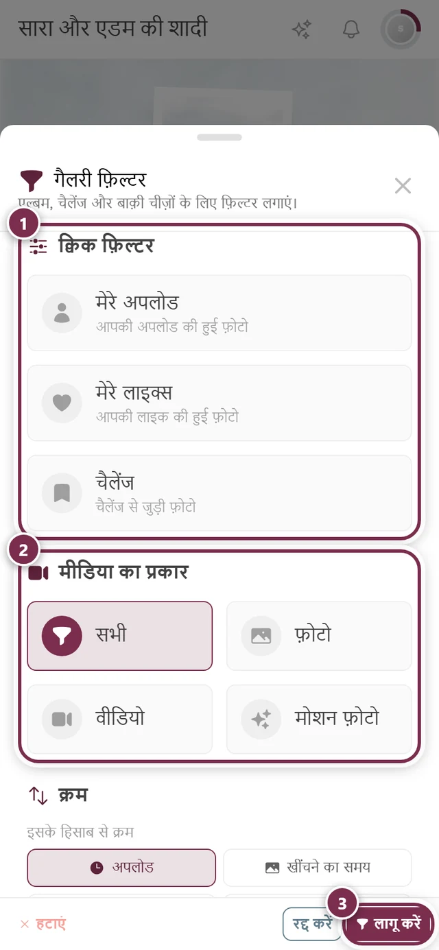 क्विक फ़िल्टर, मीडिया का प्रकार, क्रम और एल्बम हिस्सों वाला फ़िल्टर पैनल
