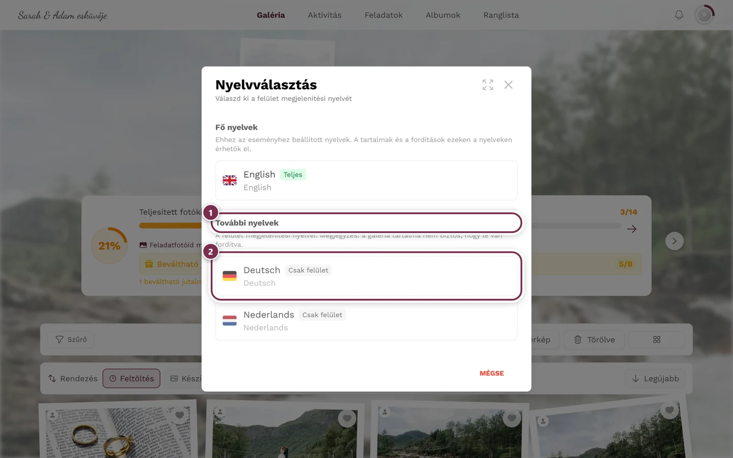 Nyelvválasztó párbeszédablak, a További nyelvek csoport és egy Csak felület jelvényes sor kiemelve