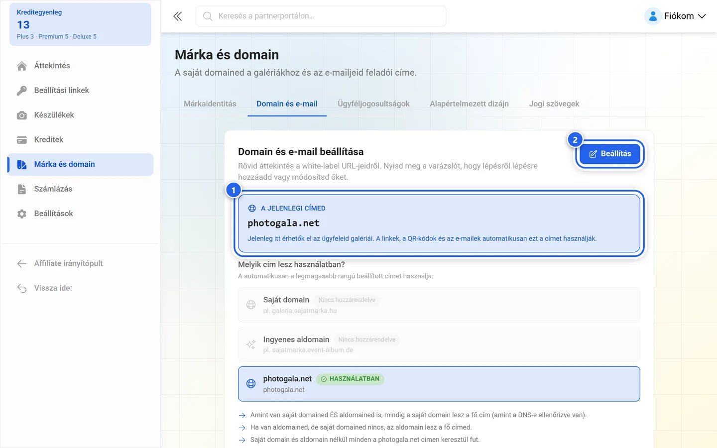 A Domain és e-mail fül teteje a kiemelt címkártyával és a kiemelt Beállítás gombbal