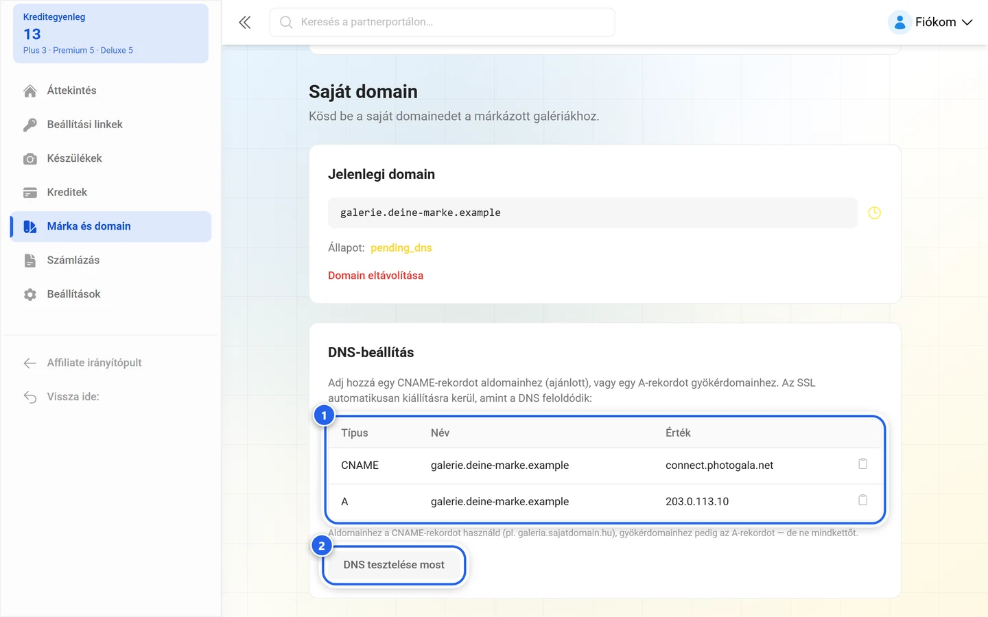 A galéria-domain DNS-beállítása a kiemelt rekordtáblázattal és a kiemelt DNS tesztelése most gombbal