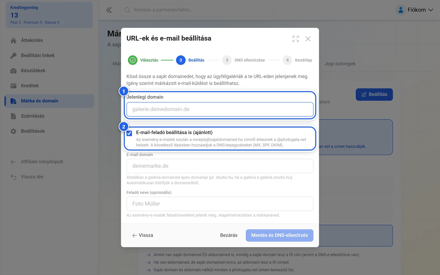 A varázsló saját domain lépése a kiemelt domainmezővel és a kiemelt e-mail-küldő jelölőnégyzettel