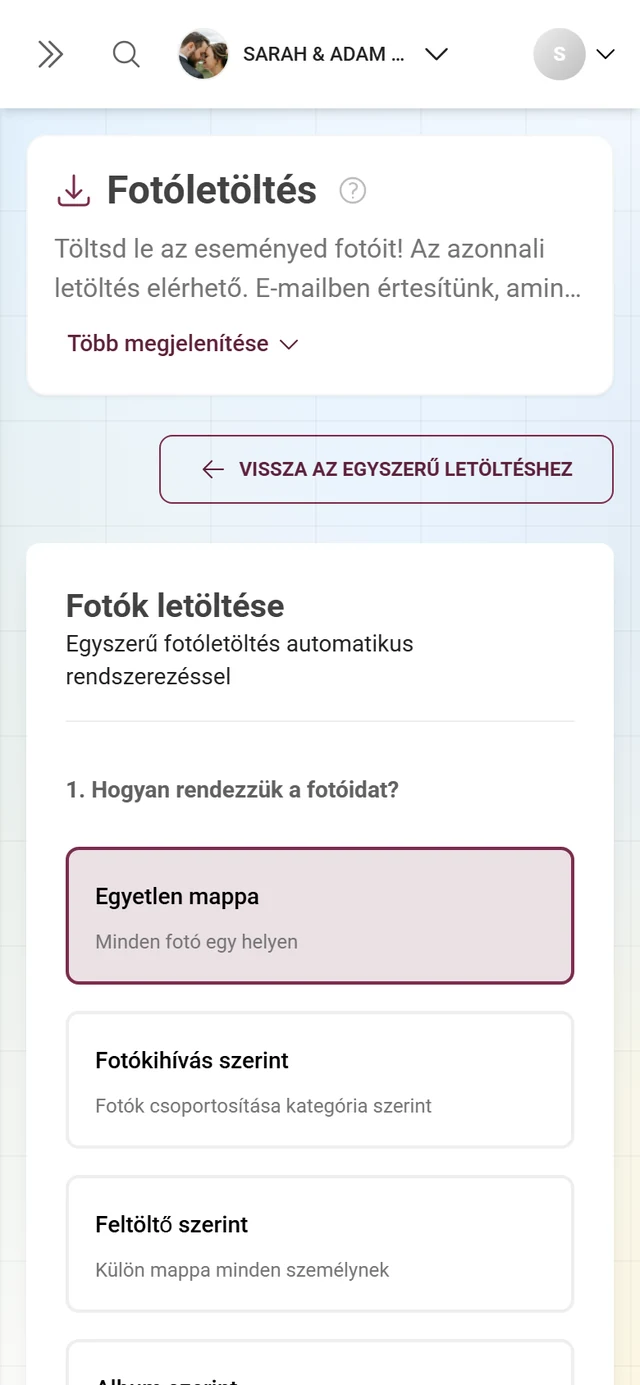 Speciális letöltés mappaszerkezettel, szűrőkkel és kiválasztással a ZIP-exporthoz