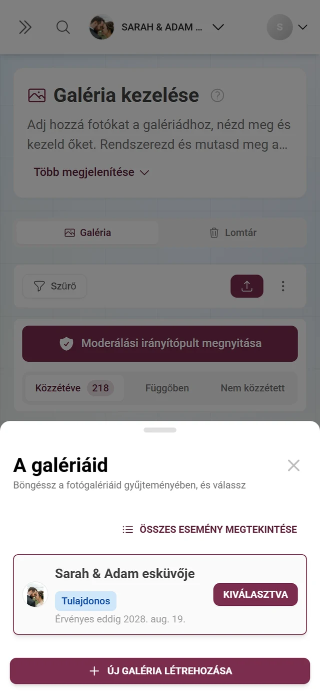 A galériáid párbeszédablak egy galériával, a Tulajdonos szerepkör-jelvénnyel és az Új galéria létrehozása gombbal