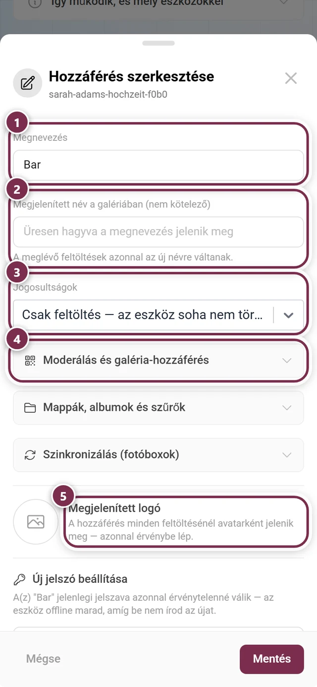 Hozzáférés szerkesztése párbeszédablak a megnevezéssel, a megjelenített névvel, a jogosultságokkal, a három beállításcsoporttal, a megjelenített logóval és az Új jelszó beállítása szakasszal