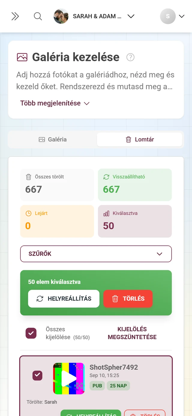 Lomtár egy kijelölt elemmel és a zöld műveletsávval, Tömeges visszaállítás és Tömeges törlés