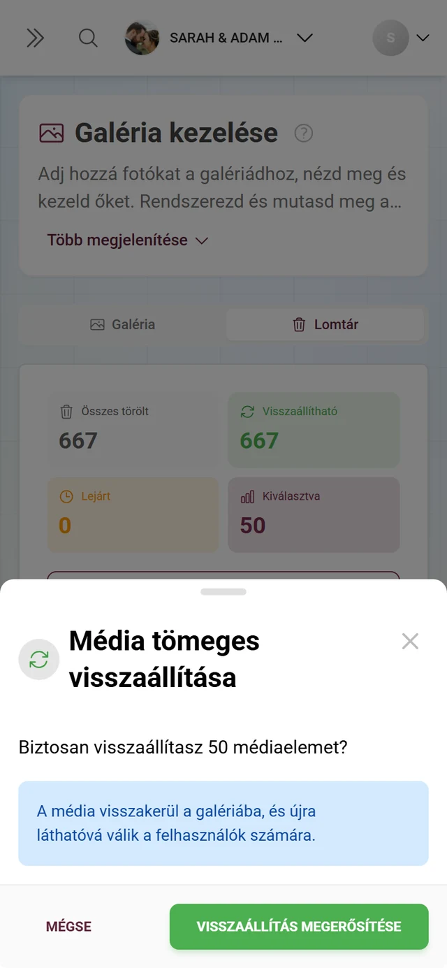 Média tömeges visszaállítása ablak a darabszámmal és egy kék infósávval