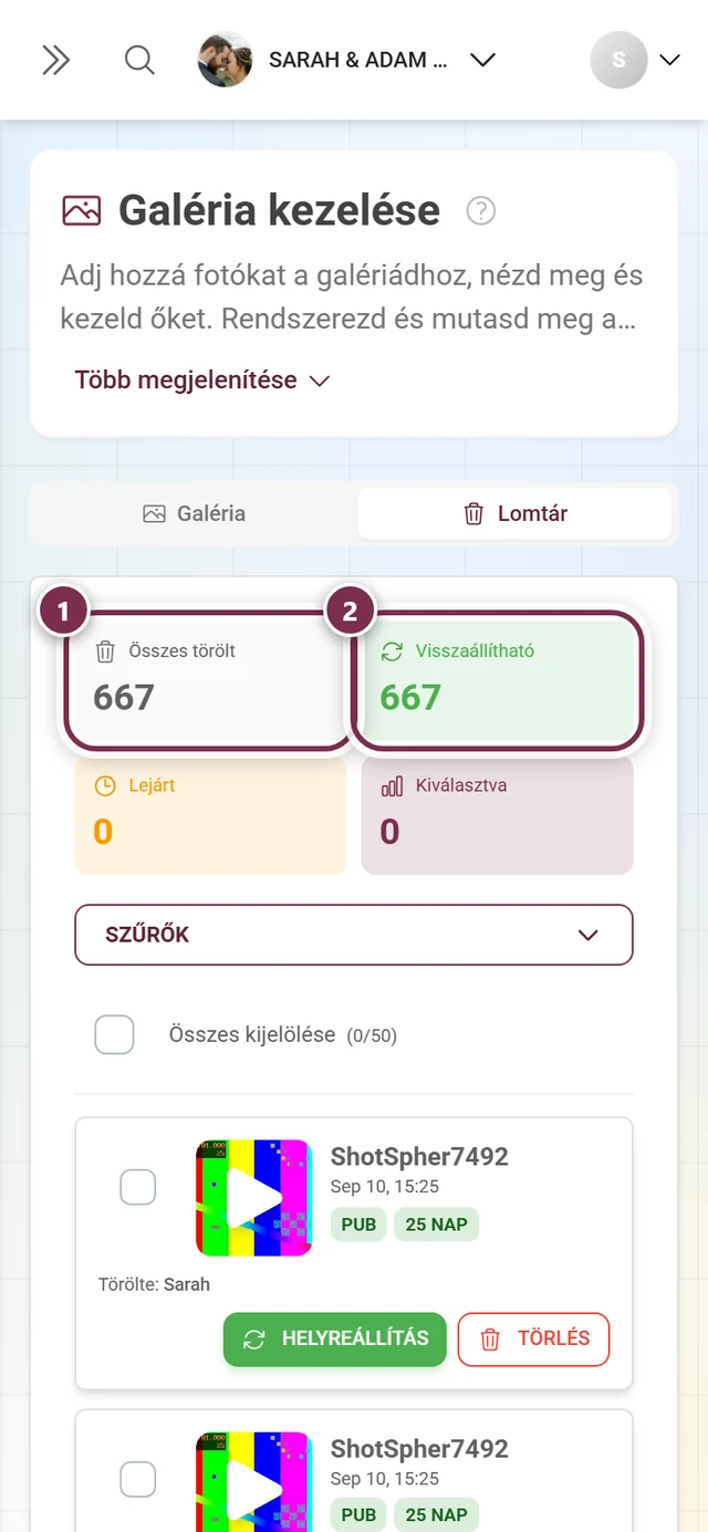 A lomtár statisztikai kártyái, Összes törölt és Visszaállítható kiemelve