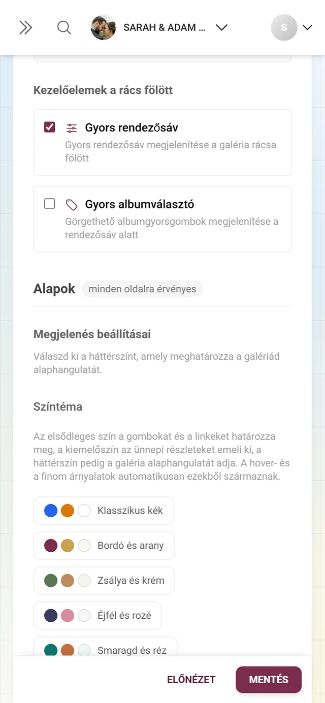 Megjelenés beállításai blokk hat színpalettával, valamint elsődleges és kiemelő színnel