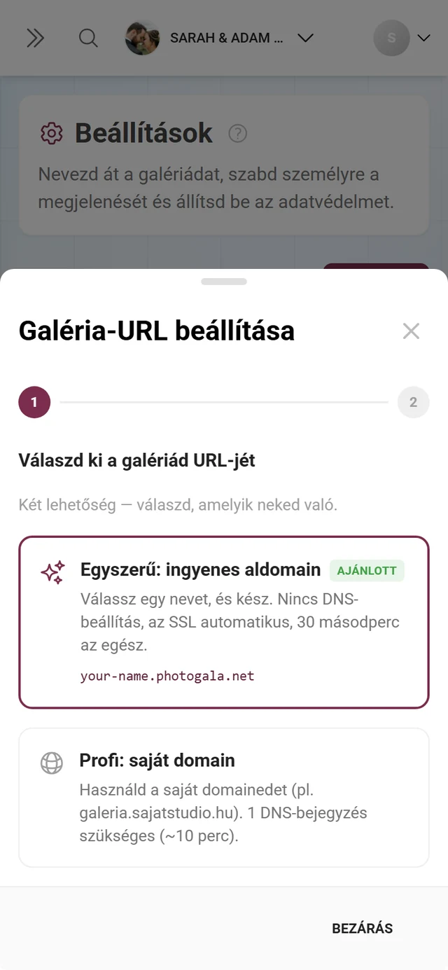 Asszisztens a saját galéria-URL beállításához