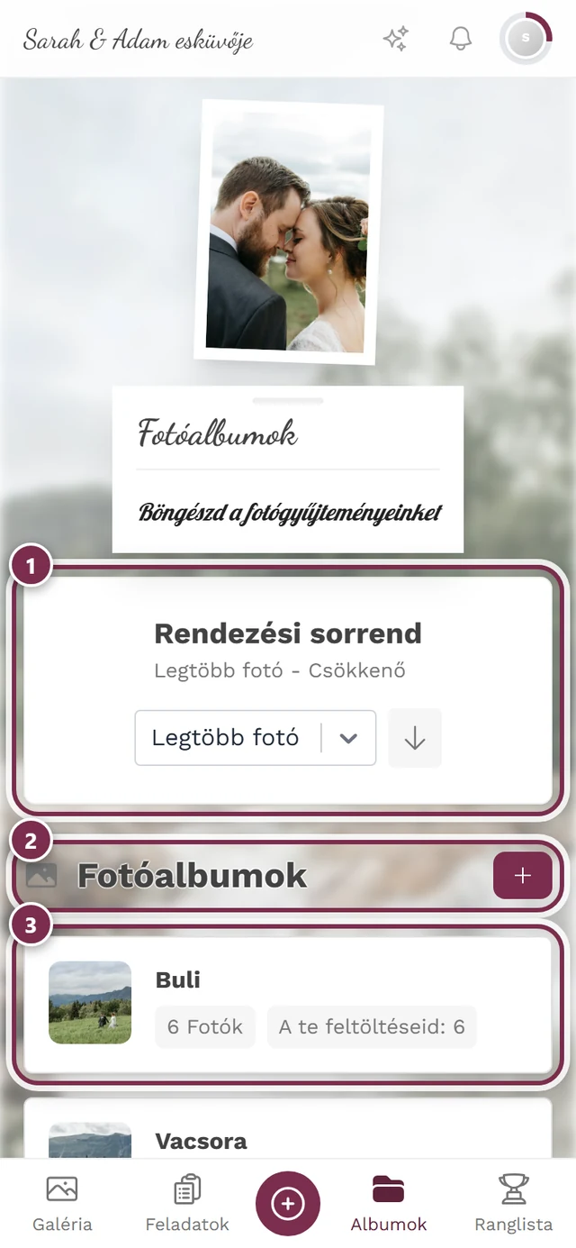 Albumok áttekintése