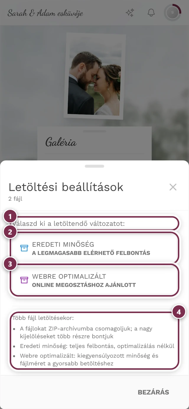 Letöltési beállítások párbeszédablak két megjelölt fotónál a ZIP-jelzéssel