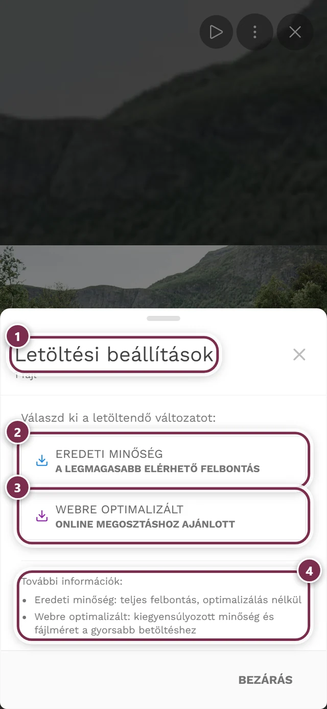 Letöltési beállítások párbeszédablak a kiemelt Eredeti minőség és Webre optimalizált opciókkal