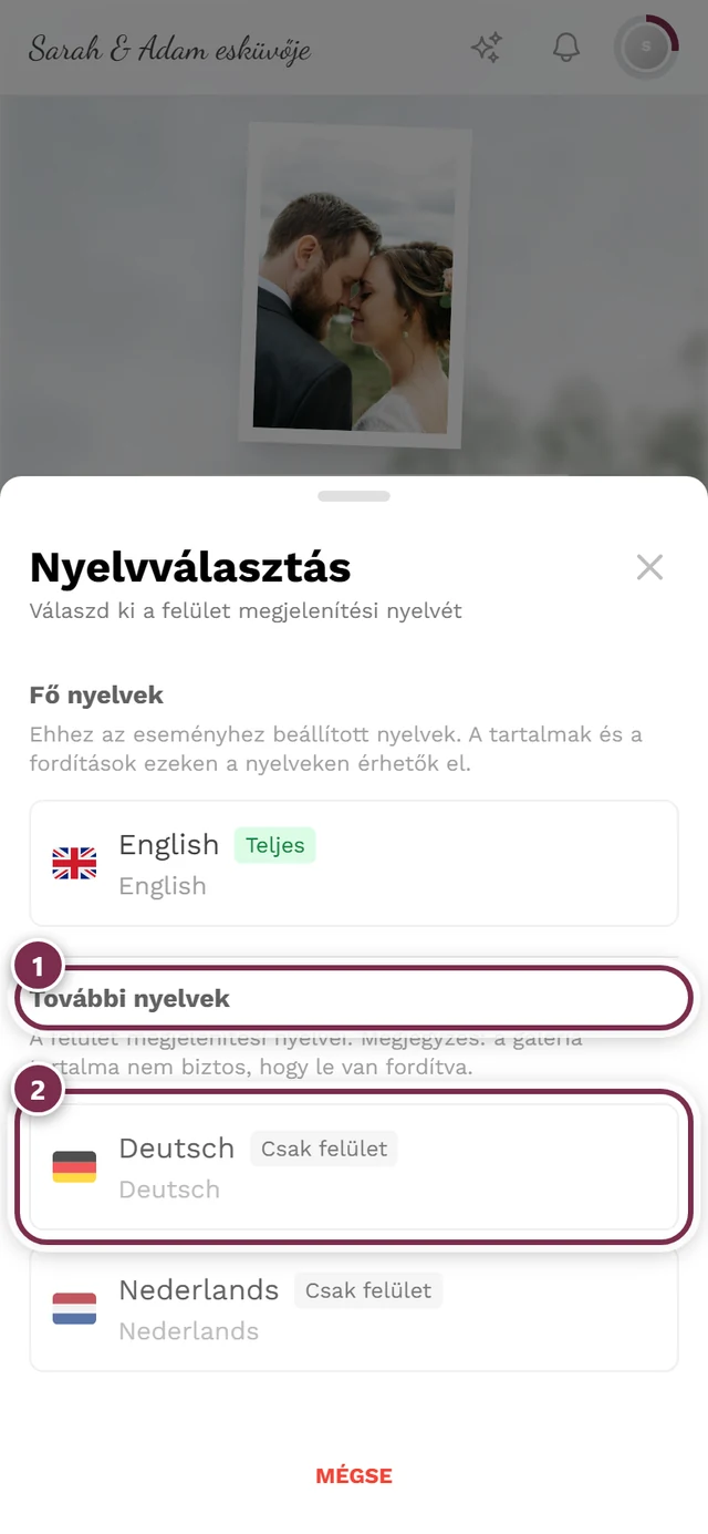 Nyelvválasztó párbeszédablak, a További nyelvek csoport és egy Csak felület jelvényes sor kiemelve