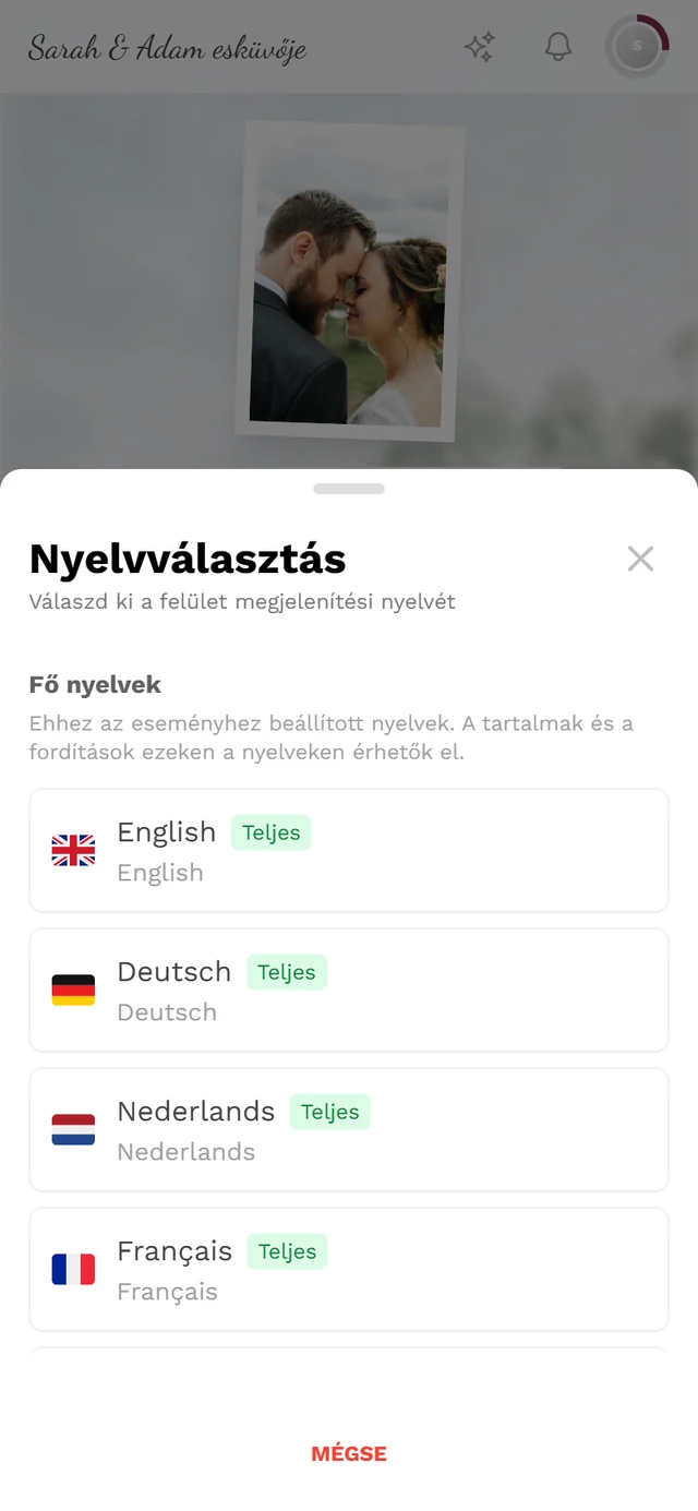 Nyelvválasztás párbeszédablak fő nyelvekkel, Teljes jelvényekkel és pipával az aktív nyelvnél