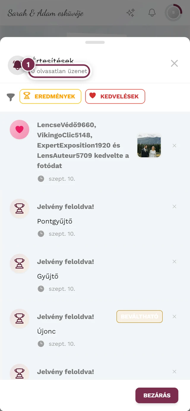 Megnyitott értesítési ablak, kiemelve az olvasatlan üzenetek sora