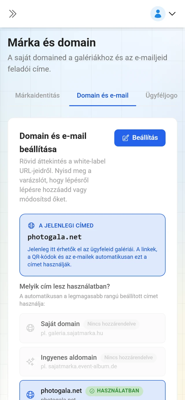 A márkakezelés Domain és e-mail füle