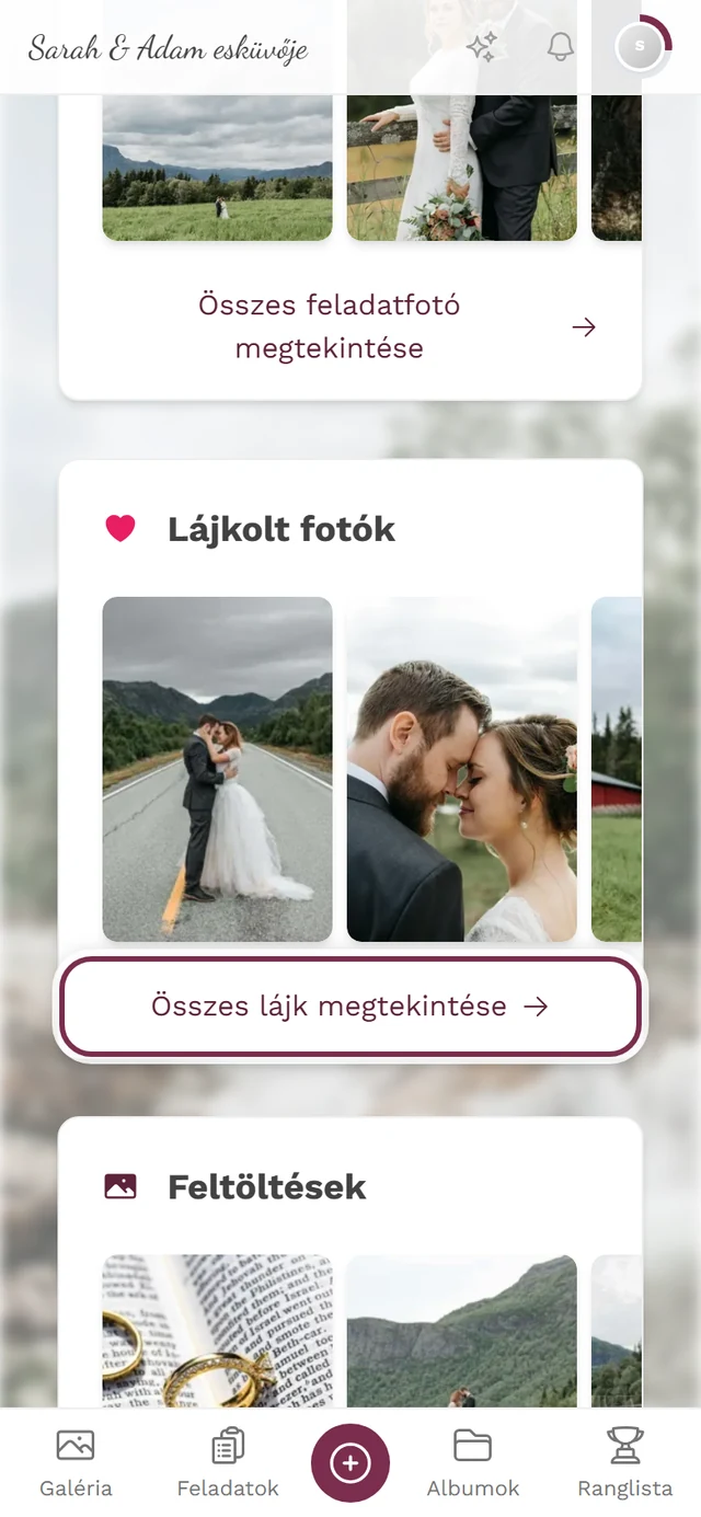 Profiloldal, Lájkolt fotók szakasz kiemelt Összes lájk megtekintése linkkel