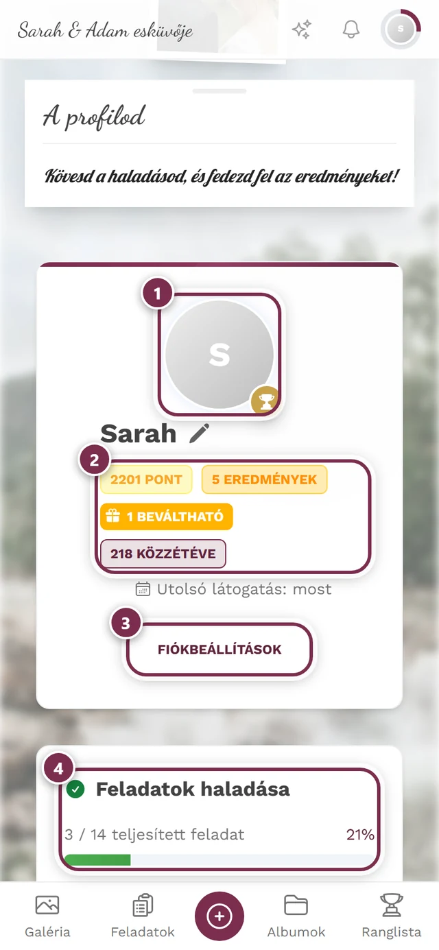Saját profil oldal statisztikakártyákkal