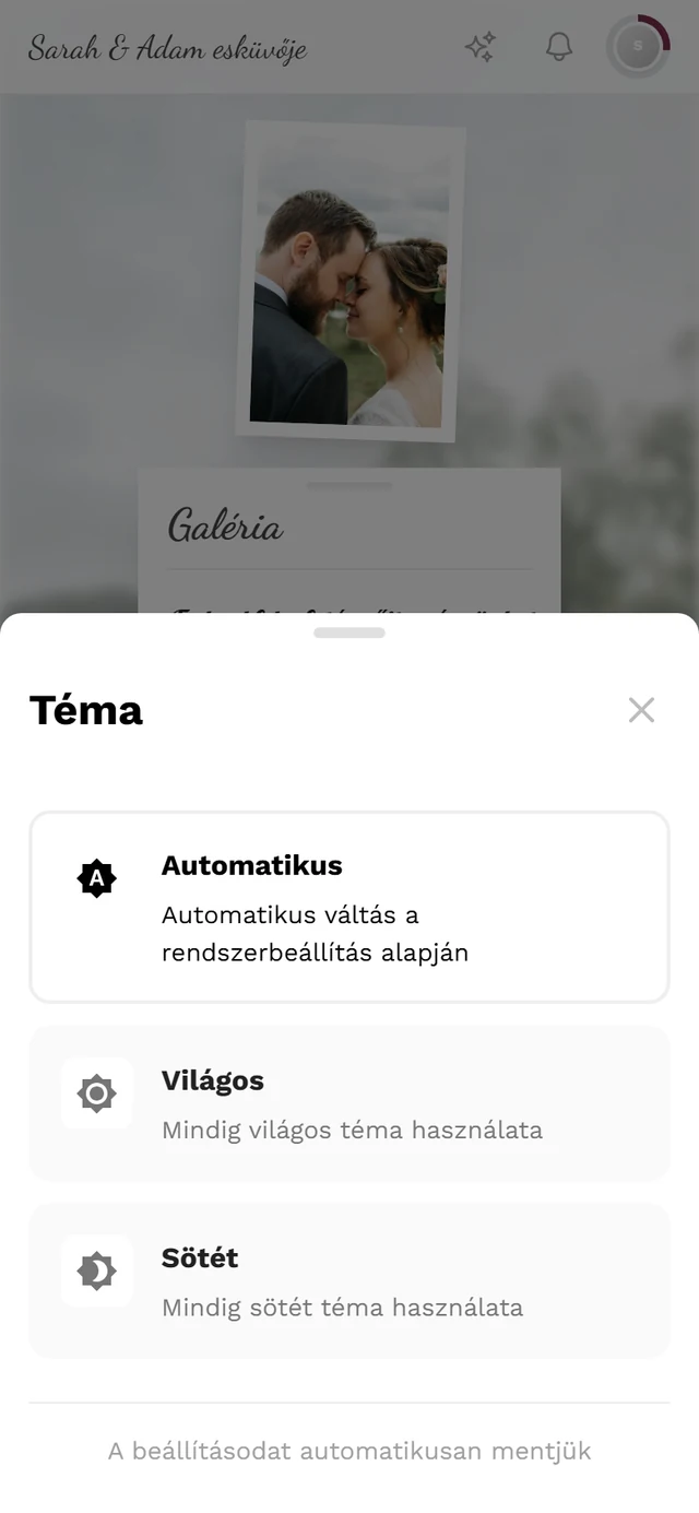 Téma párbeszédablak az Automatikus, Világos és Sötét három lehetőséggel
