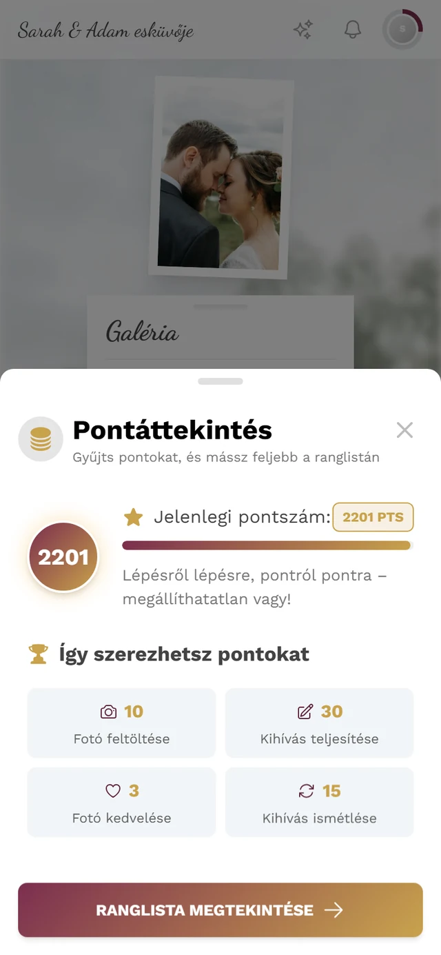 Pontáttekintés párbeszédablak a pontkörrel és a négy összesítő kártyával