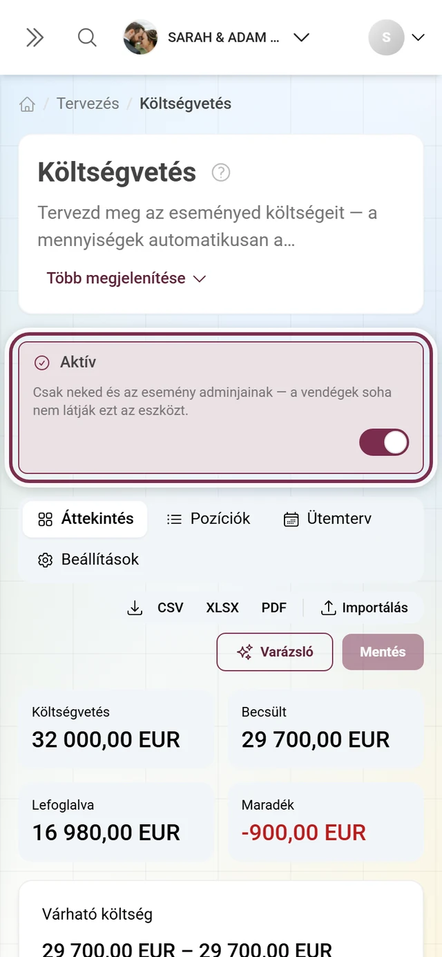 Költségvetés szerkesztő a tisztán adminisztratív eszközökre vonatkozó magyarázó sorral