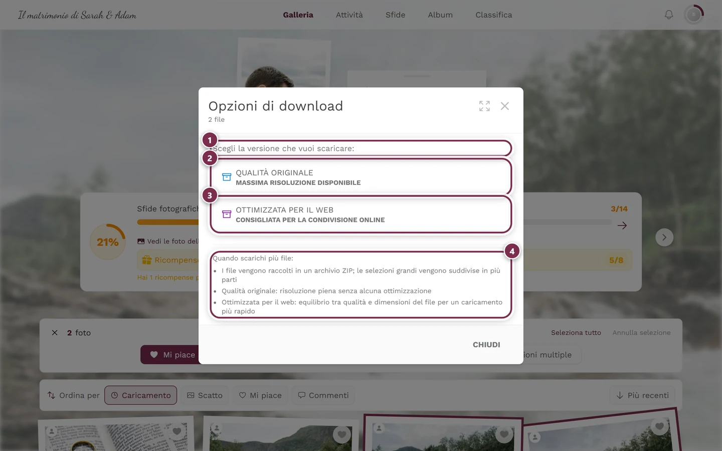 Finestra Opzioni di download con due foto contrassegnate e l'avviso ZIP