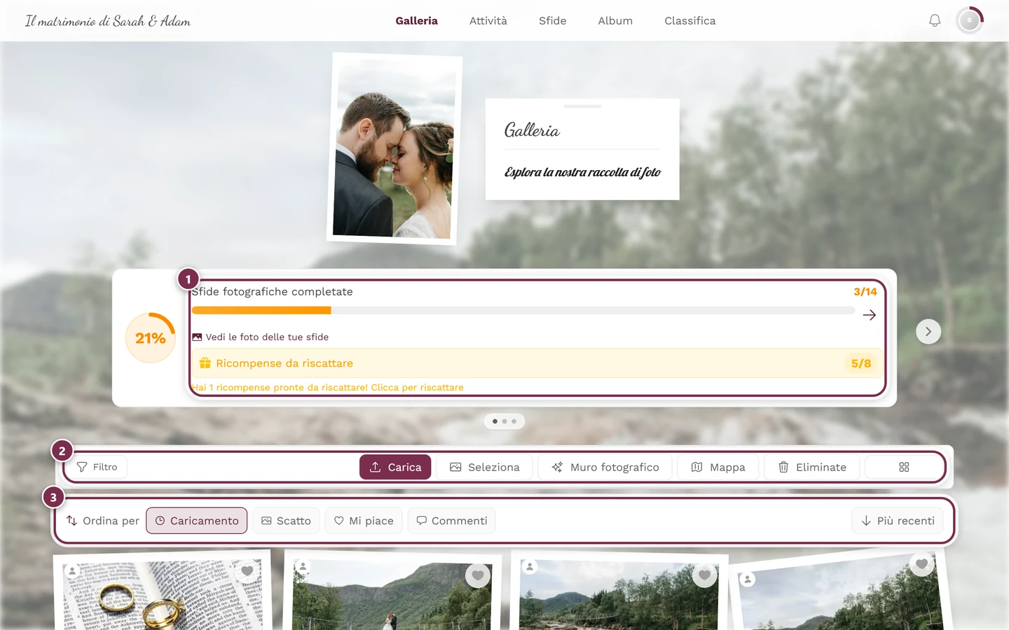 Pagina della galleria con le foto in griglia