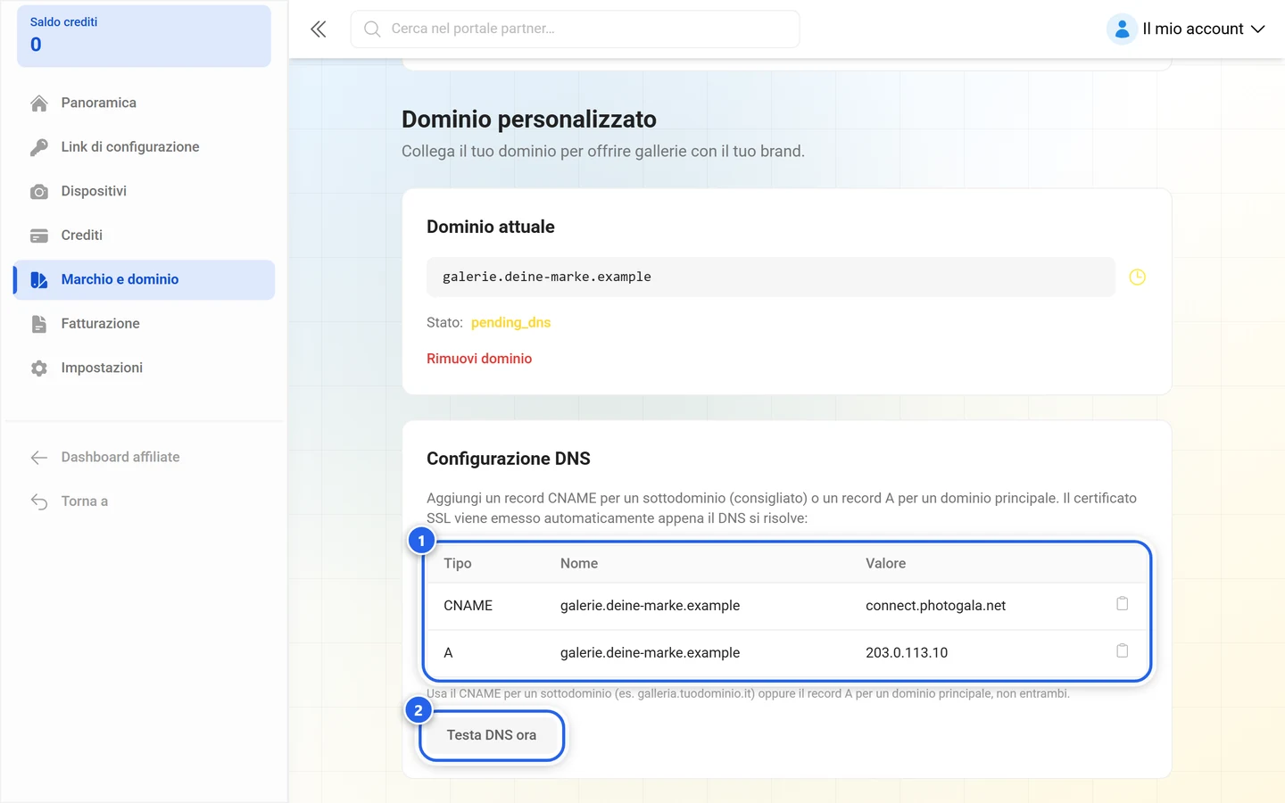 Configurazione DNS del dominio della galleria con la tabella dei record e il pulsante Testa DNS ora evidenziati