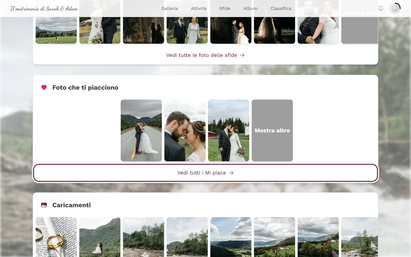 Pagina del profilo, sezione Foto che ti piacciono con il link Vedi tutti i Mi piace evidenziato
