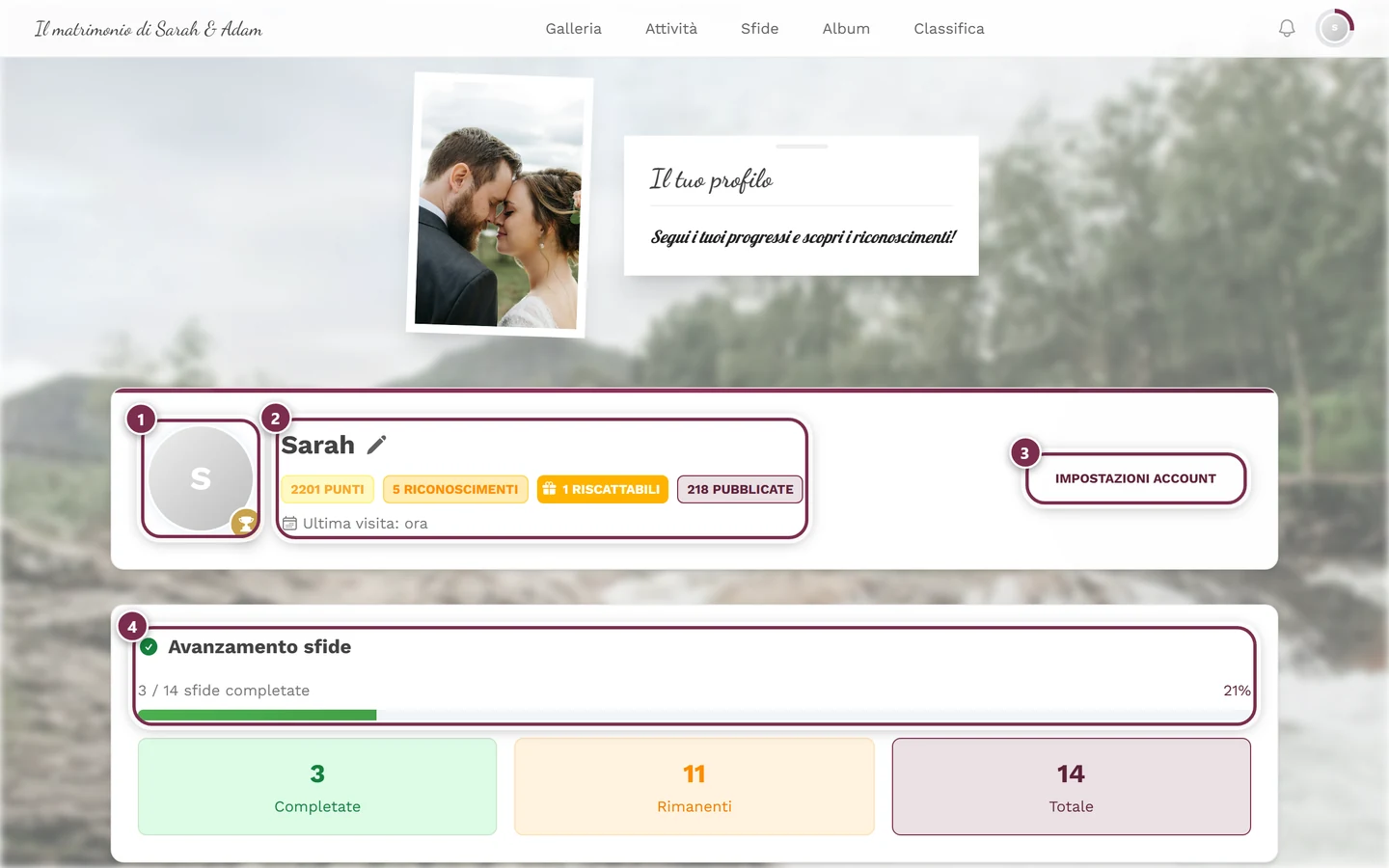 Pagina del proprio profilo con soprannome e schede delle statistiche