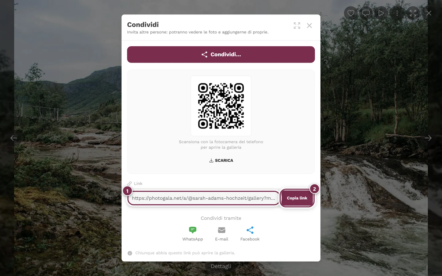 Finestra di condivisione sopra lo schermo intero di una foto, con il campo del link evidenziato