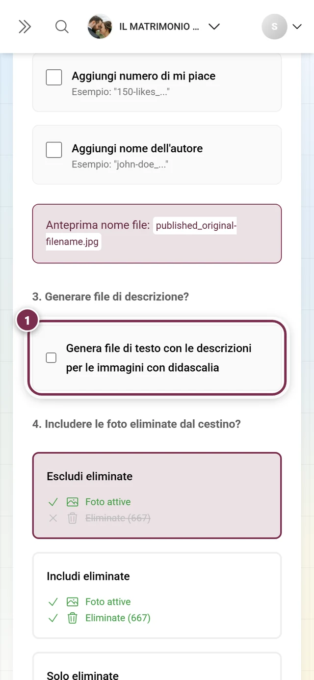 Passaggio 3 con la casella per i file di testo con le descrizioni, evidenziata