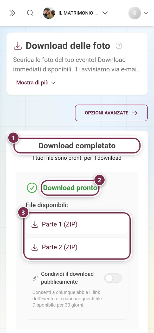 Schermata di risultato con il titolo Download completato, la dicitura verde Download pronto e due parti ZIP, tutte evidenziate