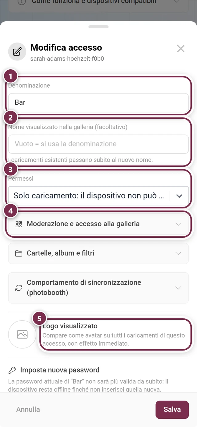 Finestra Modifica accesso con denominazione, nome visualizzato, permessi, i tre gruppi di opzioni, logo visualizzato e la sezione Imposta nuova password